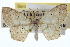  ( - CCDB-20265-B08)  @14 [ ] CreativeCommons - Attribution (2013) CBG Photography Group Centre for Biodiversity Genomics