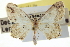  ( - CCDB-20265-B09)  @11 [ ] CreativeCommons - Attribution (2013) CBG Photography Group Centre for Biodiversity Genomics