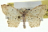  ( - CCDB-20265-B10)  @11 [ ] CreativeCommons - Attribution (2013) CBG Photography Group Centre for Biodiversity Genomics