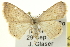  ( - CCDB-20265-C12)  @13 [ ] CreativeCommons - Attribution (2013) CBG Photography Group Centre for Biodiversity Genomics