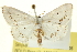  ( - CCDB-20265-D05)  @14 [ ] CreativeCommons - Attribution (2013) CBG Photography Group Centre for Biodiversity Genomics