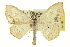  ( - CCDB-20265-D09)  @15 [ ] CreativeCommons - Attribution (2013) CBG Photography Group Centre for Biodiversity Genomics