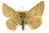  ( - CCDB-20265-E10)  @11 [ ] CreativeCommons - Attribution (2013) CBG Photography Group Centre for Biodiversity Genomics