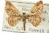  ( - CCDB-20265-F01)  @13 [ ] CreativeCommons - Attribution (2013) CBG Photography Group Centre for Biodiversity Genomics