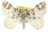  ( - CCDB-20265-H02)  @13 [ ] CreativeCommons - Attribution (2013) CBG Photography Group Centre for Biodiversity Genomics