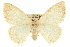  ( - CCDB-20809-D02)  @14 [ ] CreativeCommons - Attribution (2013) CBG Photography Group Centre for Biodiversity Genomics