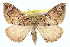  ( - CCDB-20266-A02)  @14 [ ] CreativeCommons - Attribution (2013) CBG Photography Group Centre for Biodiversity Genomics