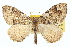  ( - CCDB-20266-A06)  @14 [ ] CreativeCommons - Attribution (2013) CBG Photography Group Centre for Biodiversity Genomics