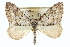 ( - CCDB-20266-B02)  @14 [ ] CreativeCommons - Attribution (2013) CBG Photography Group Centre for Biodiversity Genomics