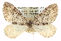  ( - CCDB-20266-B03)  @12 [ ] CreativeCommons - Attribution (2013) CBG Photography Group Centre for Biodiversity Genomics