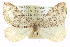 ( - CCDB-20266-B04)  @12 [ ] CreativeCommons - Attribution (2013) CBG Photography Group Centre for Biodiversity Genomics