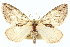  ( - CCDB-20266-B06)  @11 [ ] CreativeCommons - Attribution (2013) CBG Photography Group Centre for Biodiversity Genomics