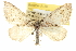  ( - CCDB-20266-B08)  @14 [ ] CreativeCommons - Attribution (2013) CBG Photography Group Centre for Biodiversity Genomics