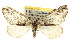  ( - CCDB-20266-C07)  @14 [ ] CreativeCommons - Attribution (2013) CBG Photography Group Centre for Biodiversity Genomics