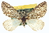  ( - CCDB-20266-D05)  @11 [ ] CreativeCommons - Attribution (2013) CBG Photography Group Centre for Biodiversity Genomics