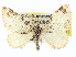  ( - CCDB-20266-E04)  @15 [ ] CreativeCommons - Attribution (2013) CBG Photography Group Centre for Biodiversity Genomics