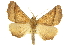  ( - CCDB-20809-H04)  @14 [ ] CreativeCommons - Attribution (2013) CBG Photography Group Centre for Biodiversity Genomics