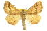  ( - CCDB-20809-H05)  @14 [ ] CreativeCommons - Attribution (2013) CBG Photography Group Centre for Biodiversity Genomics