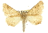  ( - CCDB-20809-H06)  @14 [ ] CreativeCommons - Attribution (2013) CBG Photography Group Centre for Biodiversity Genomics
