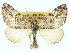  ( - CCDB-20266-F08)  @14 [ ] CreativeCommons - Attribution (2013) CBG Photography Group Centre for Biodiversity Genomics