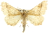  ( - CCDB-20809-H08)  @14 [ ] CreativeCommons - Attribution (2013) CBG Photography Group Centre for Biodiversity Genomics
