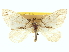  ( - CCDB-20266-G02)  @11 [ ] CreativeCommons - Attribution (2013) CBG Photography Group Centre for Biodiversity Genomics