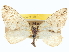  ( - CCDB-20266-G05)  @11 [ ] CreativeCommons - Attribution (2013) CBG Photography Group Centre for Biodiversity Genomics