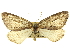  ( - CCDB-20267-B04)  @14 [ ] CreativeCommons - Attribution (2013) CBG Photography Group Centre for Biodiversity Genomics