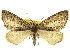  ( - CCDB-20267-B06)  @11 [ ] CreativeCommons - Attribution (2013) CBG Photography Group Centre for Biodiversity Genomics
