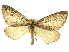  ( - CCDB-20267-B07)  @11 [ ] CreativeCommons - Attribution (2013) CBG Photography Group Centre for Biodiversity Genomics
