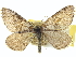 ( - CCDB-20267-F02)  @14 [ ] CreativeCommons - Attribution (2013) CBG Photography Group Centre for Biodiversity Genomics