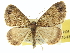  ( - CCDB-20267-H06)  @11 [ ] CreativeCommons - Attribution (2013) CBG Photography Group Centre for Biodiversity Genomics
