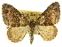  ( - CCDB-20267-H07)  @11 [ ] CreativeCommons - Attribution (2013) CBG Photography Group Centre for Biodiversity Genomics
