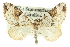  ( - CCDB-20268-A05)  @14 [ ] CreativeCommons - Attribution (2013) CBG Photography Group Centre for Biodiversity Genomics