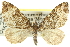  ( - CCDB-20268-A12)  @14 [ ] CreativeCommons - Attribution (2013) CBG Photography Group Centre for Biodiversity Genomics