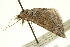  ( - CCDB-20268-B08)  @13 [ ] CreativeCommons - Attribution (2013) CBG Photography Group Centre for Biodiversity Genomics