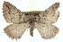  ( - CCDB-20268-B10)  @14 [ ] CreativeCommons - Attribution (2013) CBG Photography Group Centre for Biodiversity Genomics