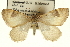  ( - CCDB-20268-D07)  @11 [ ] CreativeCommons - Attribution (2013) CBG Photography Group Centre for Biodiversity Genomics
