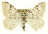  ( - CCDB-20269-E07)  @14 [ ] CreativeCommons - Attribution (2013) CBG Photography Group Centre for Biodiversity Genomics