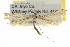  (Hellinsia pan - CCDB-20274-B10)  @15 [ ] CreativeCommons - Attribution (2013) CBG Photography Group Centre for Biodiversity Genomics