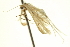  ( - CCDB-20274-D02)  @12 [ ] CreativeCommons - Attribution (2013) CBG Photography Group Centre for Biodiversity Genomics