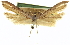  ( - CCDB-20274-E10)  @11 [ ] CreativeCommons - Attribution (2013) CBG Photography Group Centre for Biodiversity Genomics