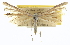  ( - CCDB-20274-G04)  @11 [ ] CreativeCommons - Attribution (2013) CBG Photography Group Centre for Biodiversity Genomics