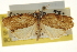  ( - CCDB-20275-D02)  @14 [ ] CreativeCommons - Attribution (2013) CBG Photography Group Centre for Biodiversity Genomics