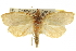  ( - CCDB-20275-E04)  @11 [ ] CreativeCommons - Attribution (2013) CBG Photography Group Centre for Biodiversity Genomics
