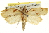  ( - CCDB-20275-E05)  @11 [ ] CreativeCommons - Attribution (2013) CBG Photography Group Centre for Biodiversity Genomics