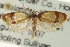  ( - CCDB-20275-G04)  @11 [ ] CreativeCommons - Attribution (2013) CBG Photography Group Centre for Biodiversity Genomics