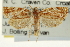  ( - CCDB-20277-E05)  @11 [ ] CreativeCommons - Attribution (2013) CBG Photography Group Centre for Biodiversity Genomics