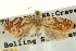  ( - CCDB-20277-E06)  @11 [ ] CreativeCommons - Attribution (2013) CBG Photography Group Centre for Biodiversity Genomics