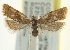 ( - CCDB-20277-G02)  @11 [ ] CreativeCommons - Attribution (2013) CBG Photography Group Centre for Biodiversity Genomics